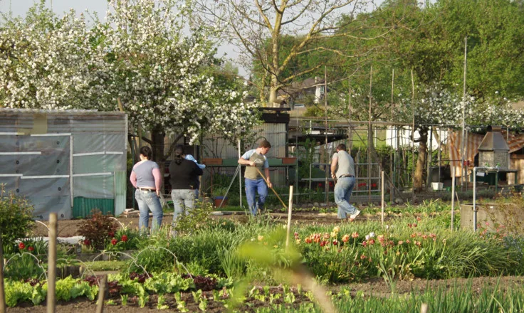 Unser Garten Eden - Filmszene