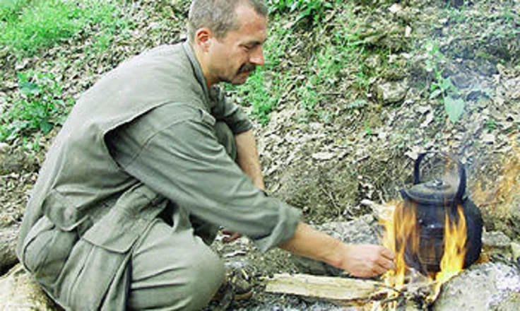 David der Tolhildan
